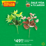 Ofertas Walmart Rebajas para Todos en plantas para tu hogar