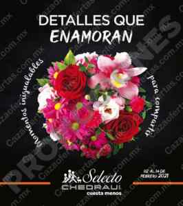 Imagen de la promo