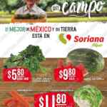 Ofertas Soriana Martes y Miércoles del Campo 23 y 24 de febrero 2021