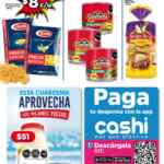 Folleto Bodega Aurrerá Vacaciones 17 al 31 de marzo 2021