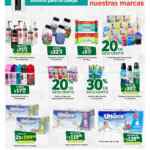Folleto Soriana Super Ahorrar es Nuestro Mero Mole 15 al 29 de abril 2021