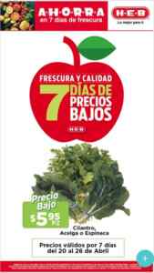 Imagen de la promo
