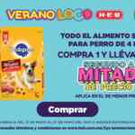 Ofertas HEB Verano Loco 2021 del 21 al 27 de mayo