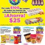 Folleto HEB Verano Loco: 3x2 en papel higiénico, 3x2 en pañales y productos gratis