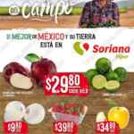 Ofertas Soriana Martes y Miércoles del Campo 4 y 5 de mayo 2021