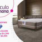 Suburbia Artículo de la Semana 17 al 23 de mayo: colchones Spring Air desde $3,599