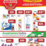 Folleto Bodega Aurrerá Canasta Básica 1 al 15 de junio 2021