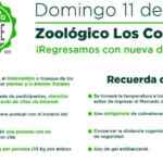 Mercado de Trueque CDMX 2021: canjea tus residuos por plantas y árboles frutales