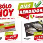 Folleto Soriana Días Rendidores 15 de junio 2021
