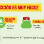 Promoción Soriana Mercado Recompensas: Canjea productos Tefal desde $109 + 50 puntos