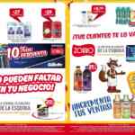 Folleto Zorro Abarrotero Maratón Abarrotero 2021 del 2 al 8 de junio: 3x2 en pañales, atún y más