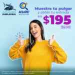 Acuario Inbursa Elecciones 2021: Entrada a precio de descuento este domingo 6 de junio