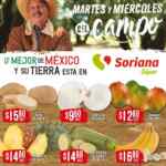 Folleto Soriana Super Martes y Miércoles del Campo 22 y 23 de junio 2021