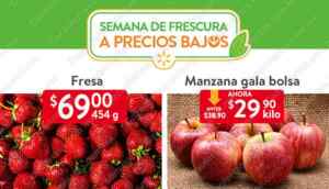 Imagen de la promo