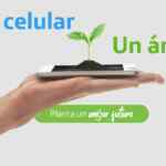 Programa Reciclaje Movistar: 1 árbol plantado por cada artículo que lleves a reciclar