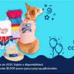 Ofertas Petco Día del Perro 2021 en alimento, accesorios y más del 16 al 18 de julio