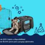 Ofertas Petco Día del Perro 2021 en alimento, accesorios y más del 16 al 18 de julio