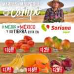 Folleto Soriana Super Martes y Miércoles del Campo 27 y 28 de julio 2021