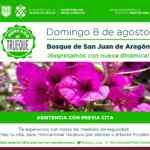 Mercado de Trueque CDMX 2021: canjea residuos reciclables por plantas