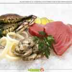 Folleto La Comer del 27 de agosto al 9 de septiembre: Segundo a mitad de precio en productos y más