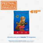Ofertas Chedraui Festival de la Mascota 2021