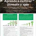 Folleto City Club Octubre 2021