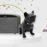 Suburbia Aniversario 2021: hasta 50% de descuento en toda la tienda