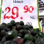 Ofertas Martes de Frescura Walmart 14 de diciembre 2021