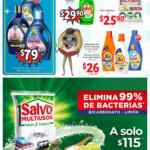 Folleto especial Soriana Mercado 14 al 28 de enero 2022