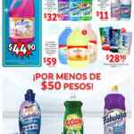 Folleto especial Soriana Mercado 14 al 28 de enero 2022