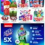 Folleto especial Soriana Mercado 14 al 28 de enero 2022