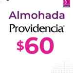 Artículo de la Semana Suburbia: Almohada Providencia a $60