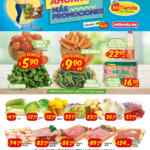 Ofertas Mi Tienda del Ahorro en frutas, verduras y carnes del 8 al 10 de febrero