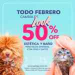 En Pet N' Go 50% de descuento en servicios de Estética y Baño para perros y gatos