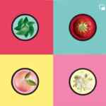 En The Body Shop 4x2 en Body Butters