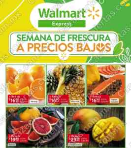 Imagen de la promo