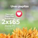 Promociones Sam's Cafe: 2 helados por $65 ó Papas gajo o papas fritas a 2x$65