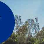 Promo Shein Paypal de $100 de descuento en compras de $599 o más