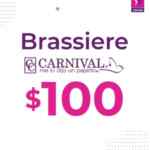 Suburbia Artículo de la Semana 20 de junio: brassiere Carnival a $100