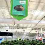 Ofertas Chedraui Martimiércoles de frutas y verduras 21 y 22 de junio 2022