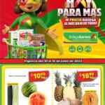 Folleto Bodega Aurrerá Precio Bodega 10 al 16 de junio 2022