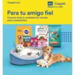 Folleto Coppel Verano Julio 2022