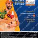 Folleto Chedraui Selecto al 31 de julio 2022