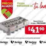 Folleto Soriana Precio Aliado 1 al 7 de julio 2022