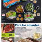 Folleto cuponera Sam's Club 9 al 29 de agosto 2022