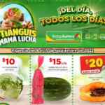 Ofertas Tianguis Bodega Aurrerá en frutas y verduras 9 al 15 de septiembre 2022