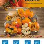 Folleto Walmart Express del 20 de octubre al 2 de noviembre 2022