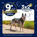 Ofertas Petco 9 Aniversario: 25% de descuento en alimento, 3x2 en ropa para mascotas y más