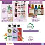 Folleto Soriana Descubre tu Belleza 14 al 31 de octubre 2022