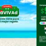 En Viva Aerobus vuelos en diciembre y enero desde $99 + TUA